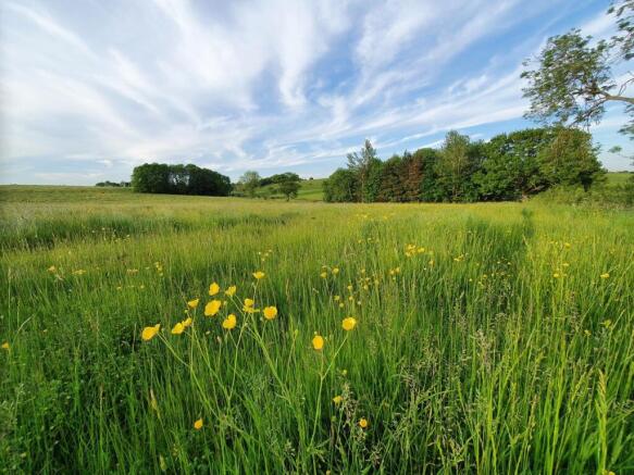 Grassland hay 3.jpg
