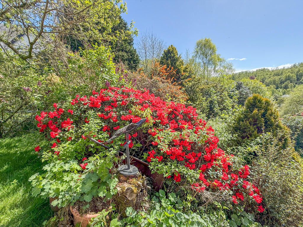 Bridge Of Cally, Blairgowrie photo 4