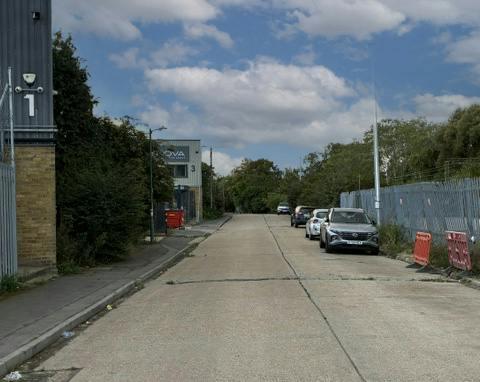 Harlow 4.jpeg