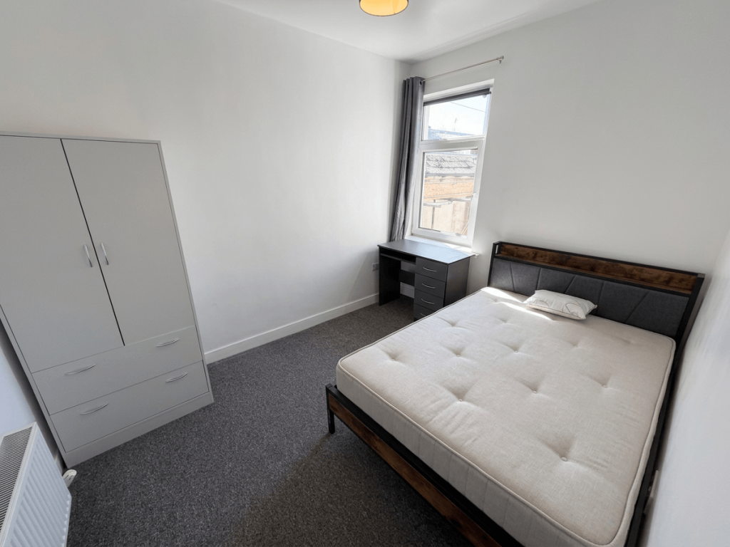 Brithdir Street, Cathays – pohled 6
