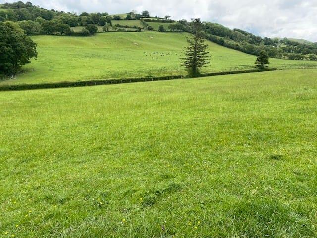 Felinfach, Lampeter, SA48 - More