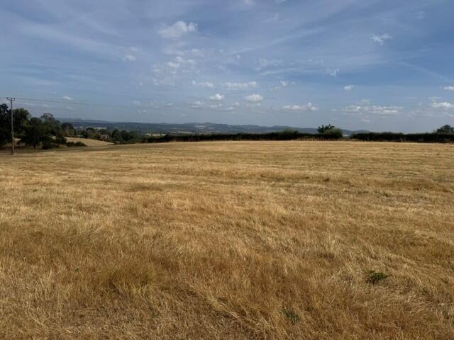 Land At Much Marcle - View 4
