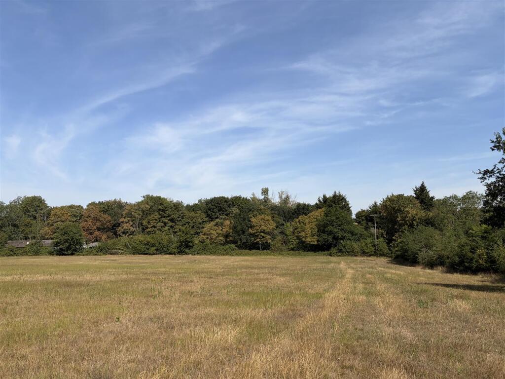3.97ac (1.61ha) Land off Halesworth Road, Linstead - View 4