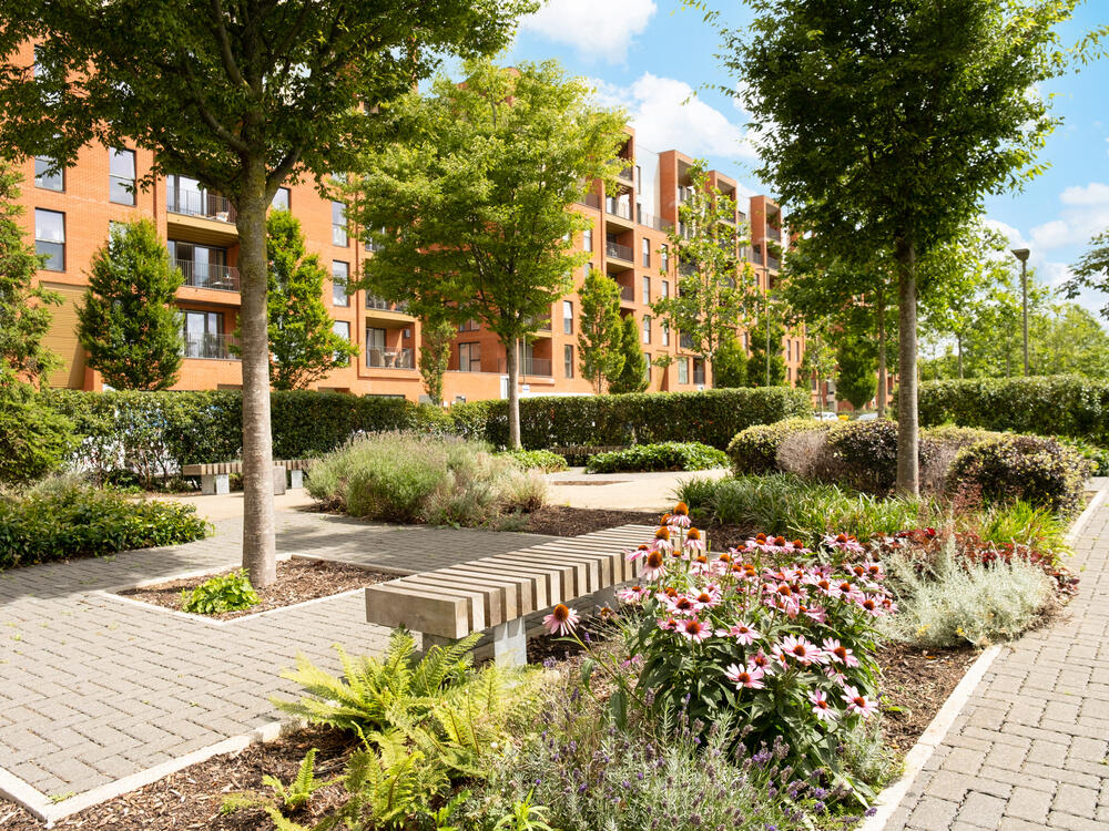 Apartment in London - More