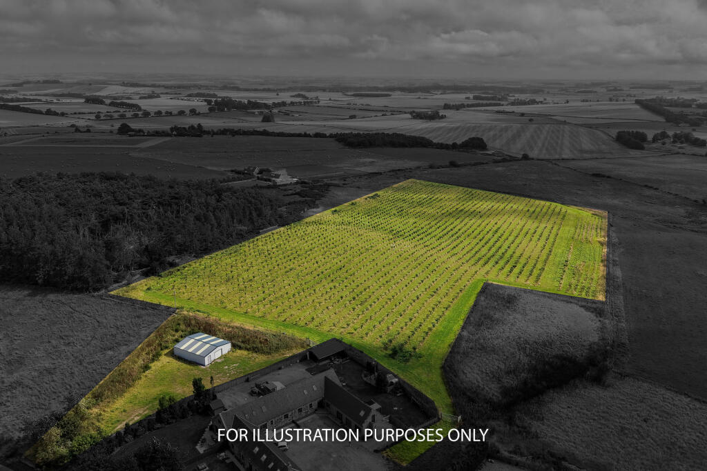 Land & Building at Greystone, Oldmeldrum photo 4