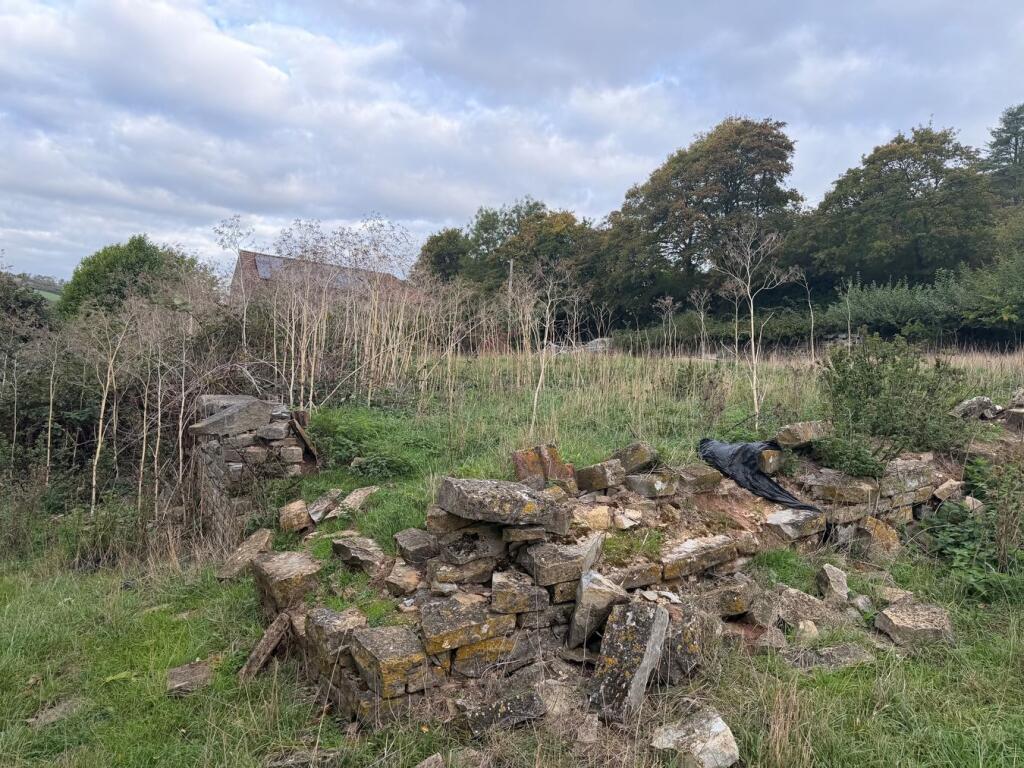 Building Plot, Peak Lane, Compton Dundon, TA11 - More