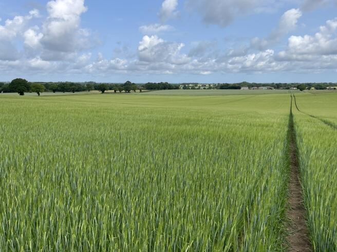 Main image of property: Land at Skeyton & Tuttington, Norwich, Norfolk, NR10