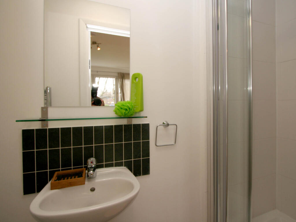 1 bedroom flat share for rent