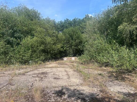 Photo 8