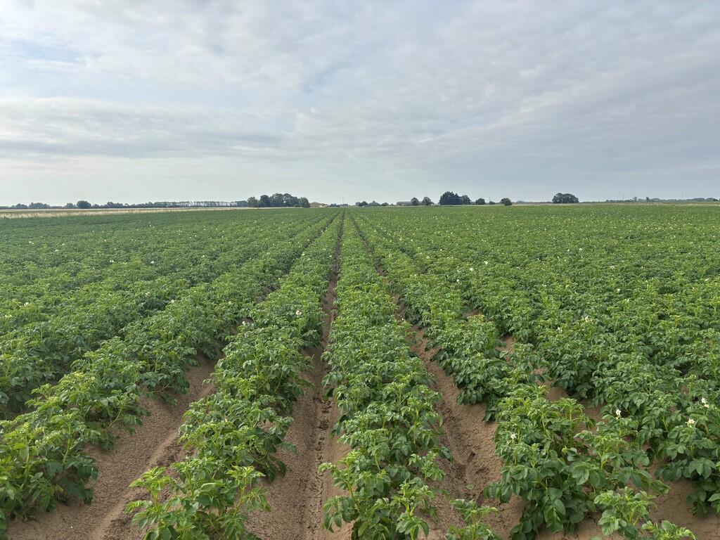 Main image of property: Arable Land To Let by Informal Tender