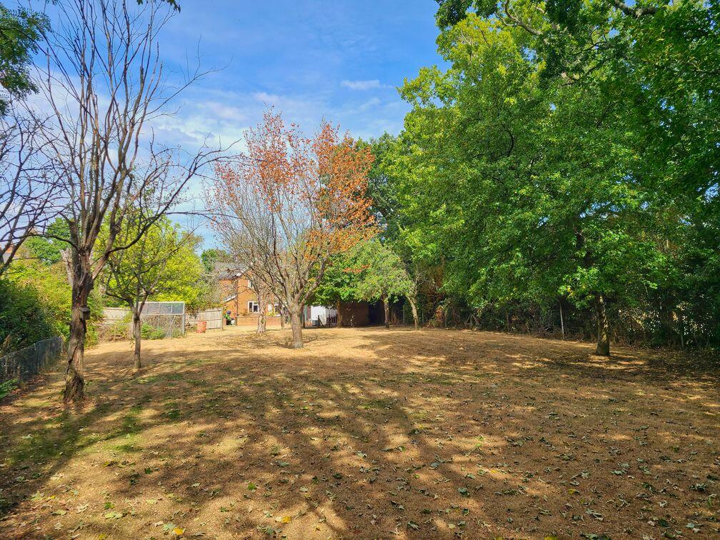 House in New Forest, Pollards Moor, Copythorne - View 4