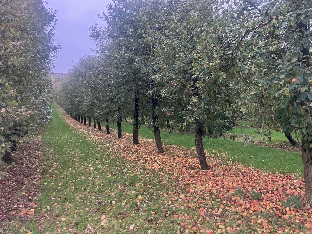 Additional image 27 of Hadspen, Castle Cary, Somerset