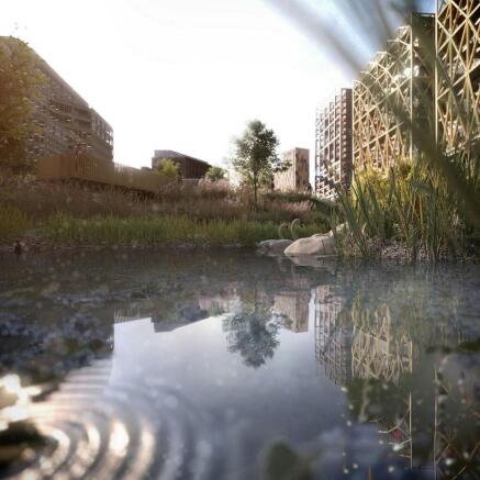 RIVER.jpg