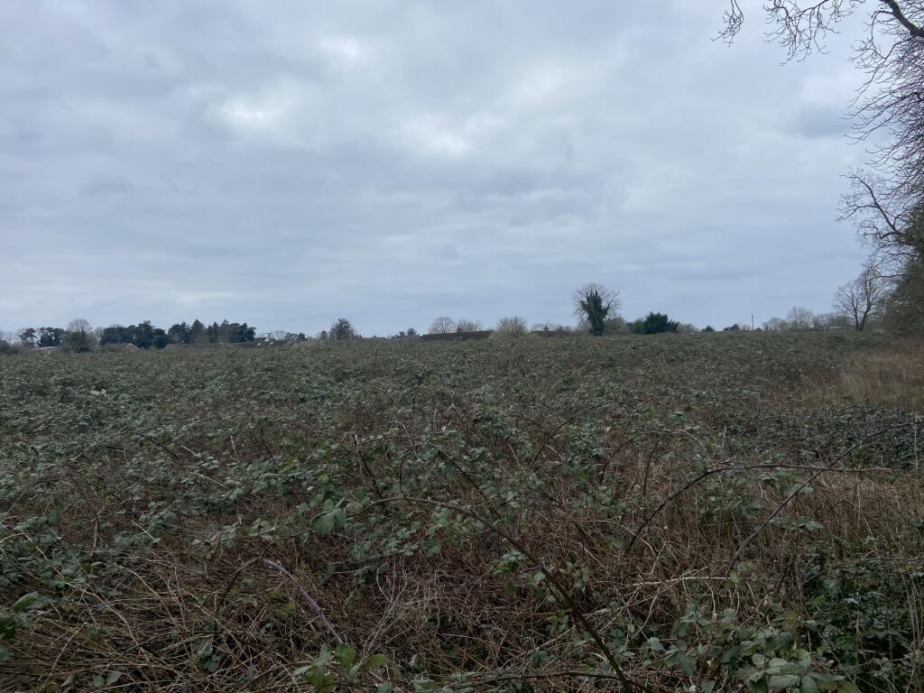 Main image of property: Barr Drive, Lakenheath, Brandon