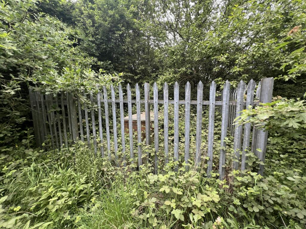 IMG_0763.jpeg