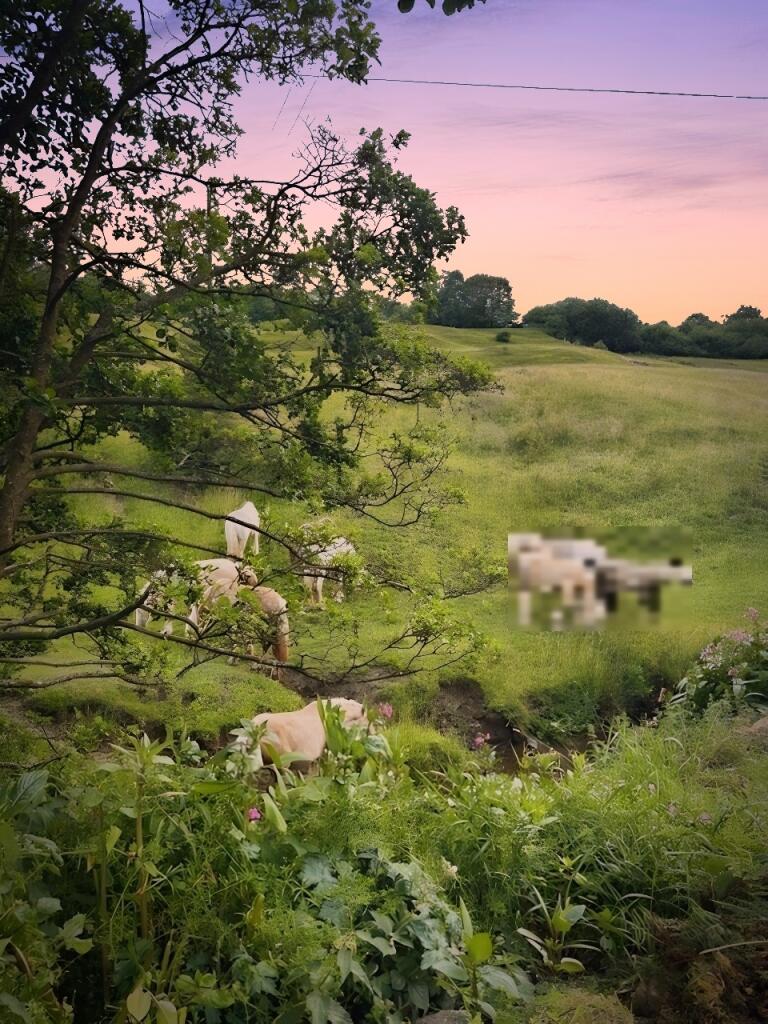 Additional image 19 of Whalley Lane, Denholme, Bradford