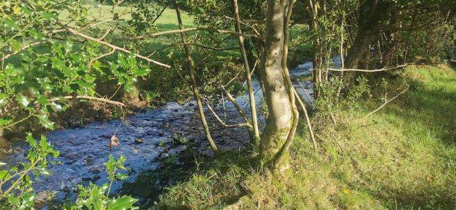 River Frontage