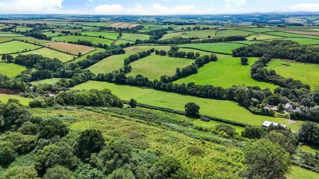 Drone View