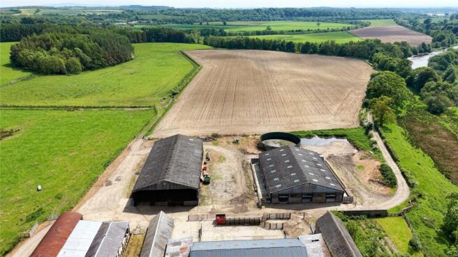 Steading
