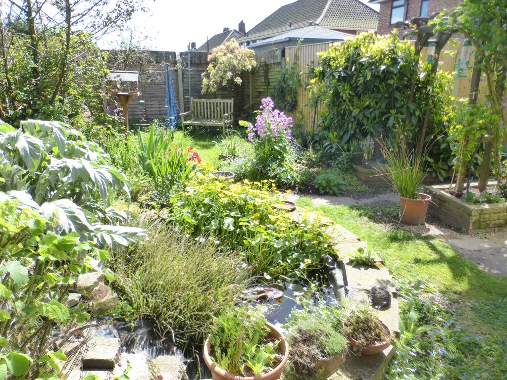 Photo of the property