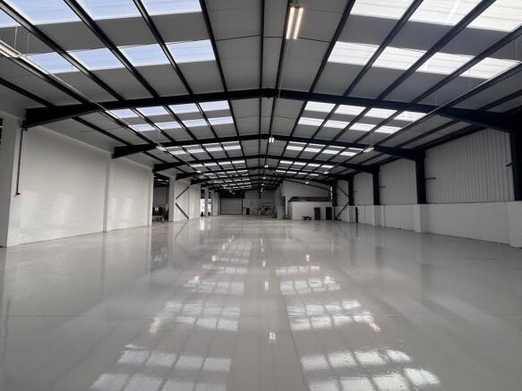 IMG_7911 (Copy).jpg