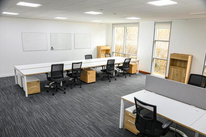 3D9A8893.jpg