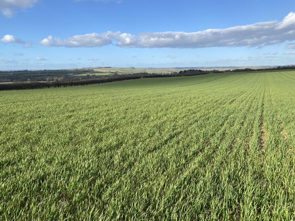 Main image of property: Lot 1 - Arable Land Off Leafield Road, Shipton-under-Wychwood, OX7 6ED