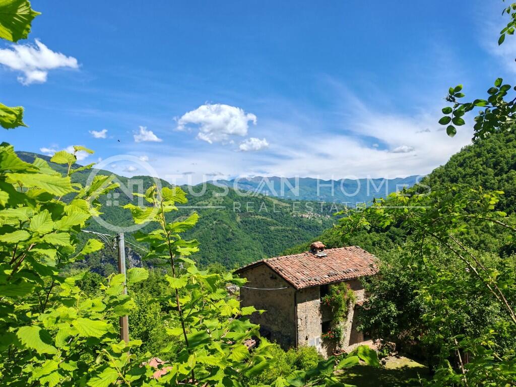 Main image of property: Molazzana, Lucca, Tuscany