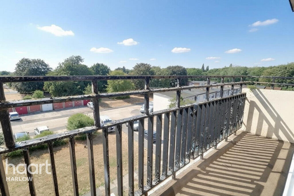 Tanys Dell, Harlow photo 4