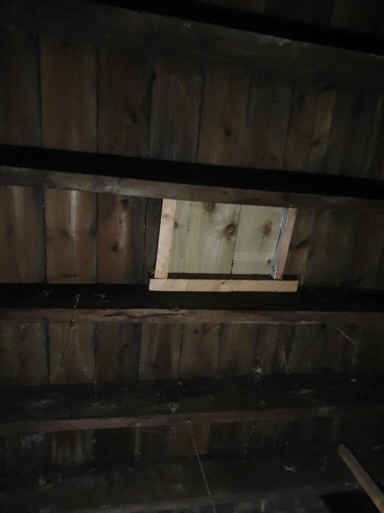 Roof void