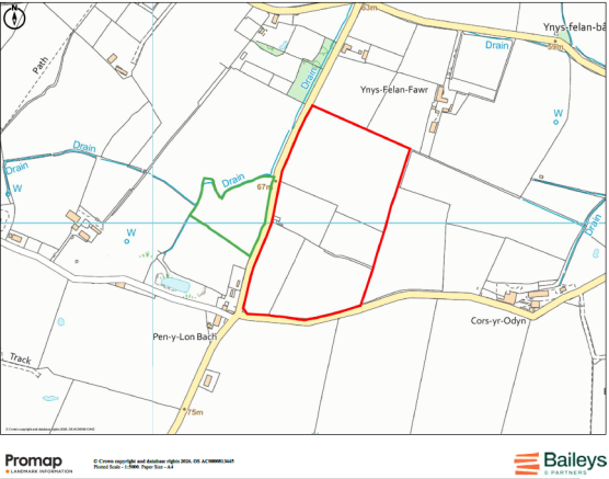 Site plan photo.png