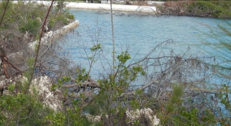 Main image of property: The Bahamas