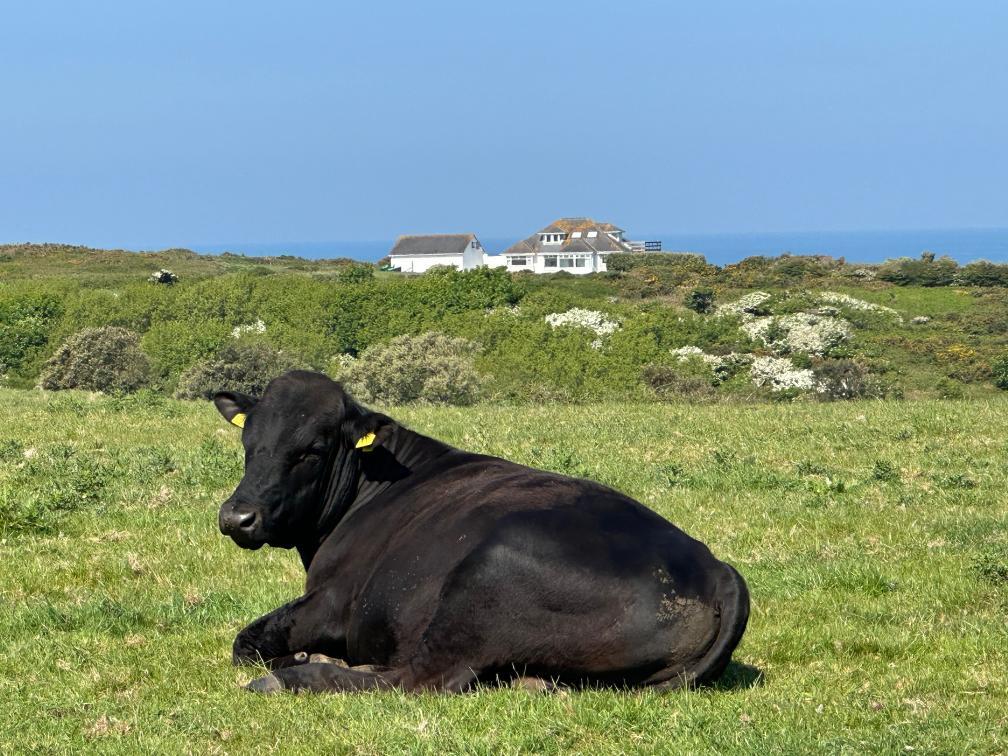 Main image of property: Costil Charte, Tourgis, Alderney, Channel Isles, GY9