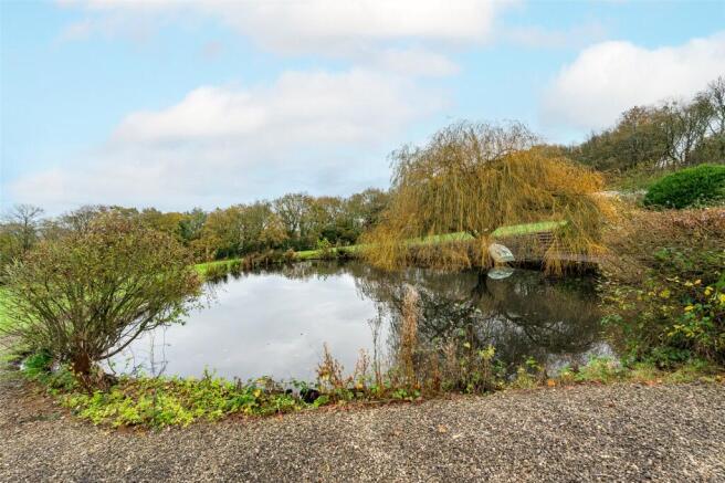 Pond