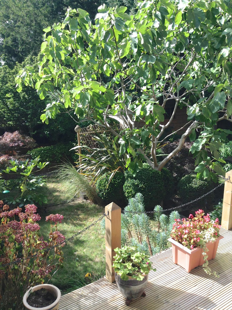 Photo of the property