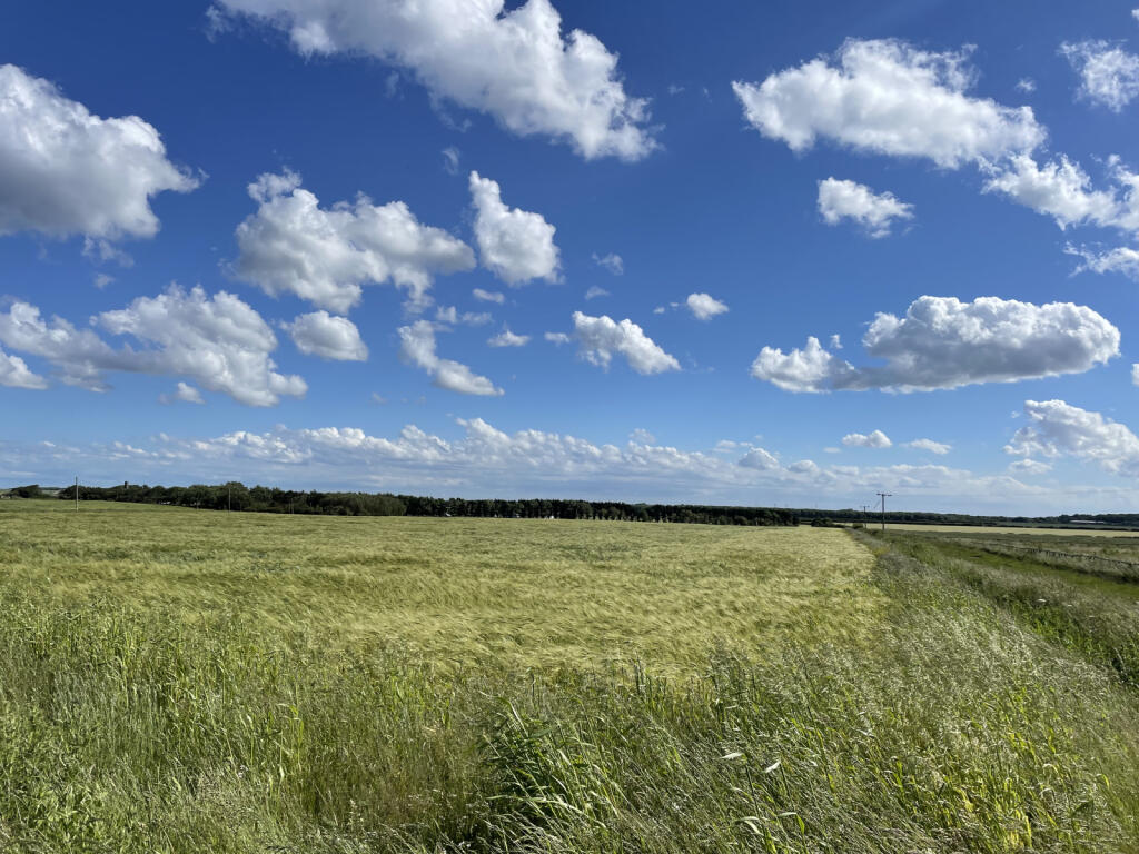 East Newton, Near Aldbrough - View 2