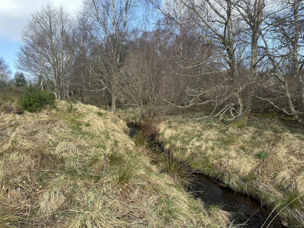 Errogie, Inverness, IV2 6UH photo 3