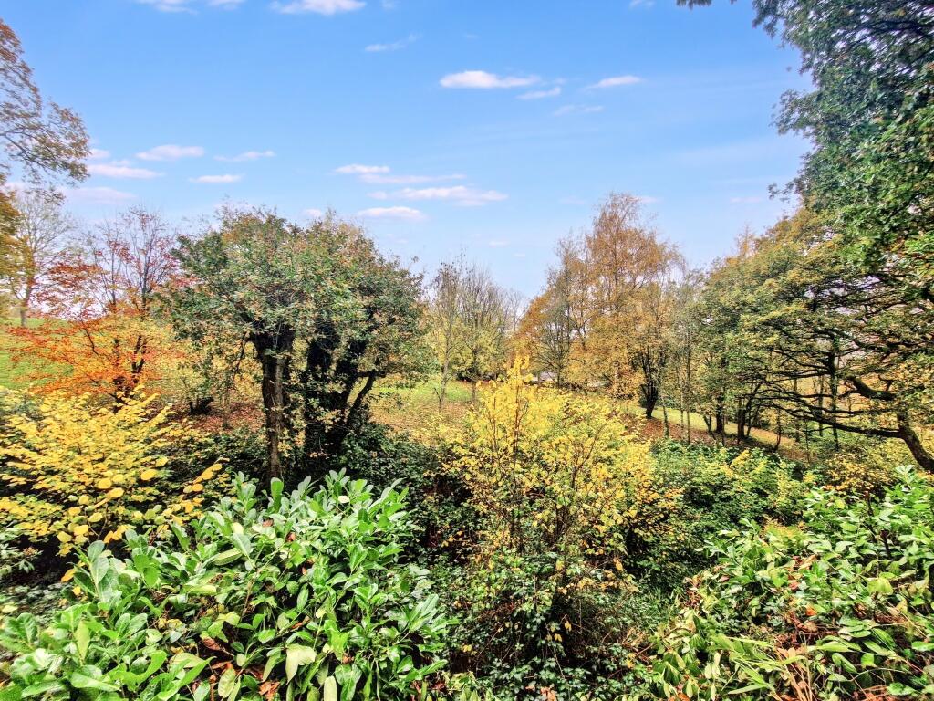 Holland Copse, Pathfinder Village, Exeter photo 4