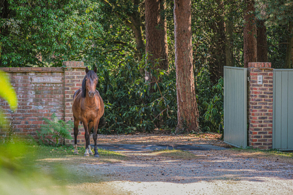 School Lane, Minstead, Lyndhurst, Hampshire, SO43 photo 4
