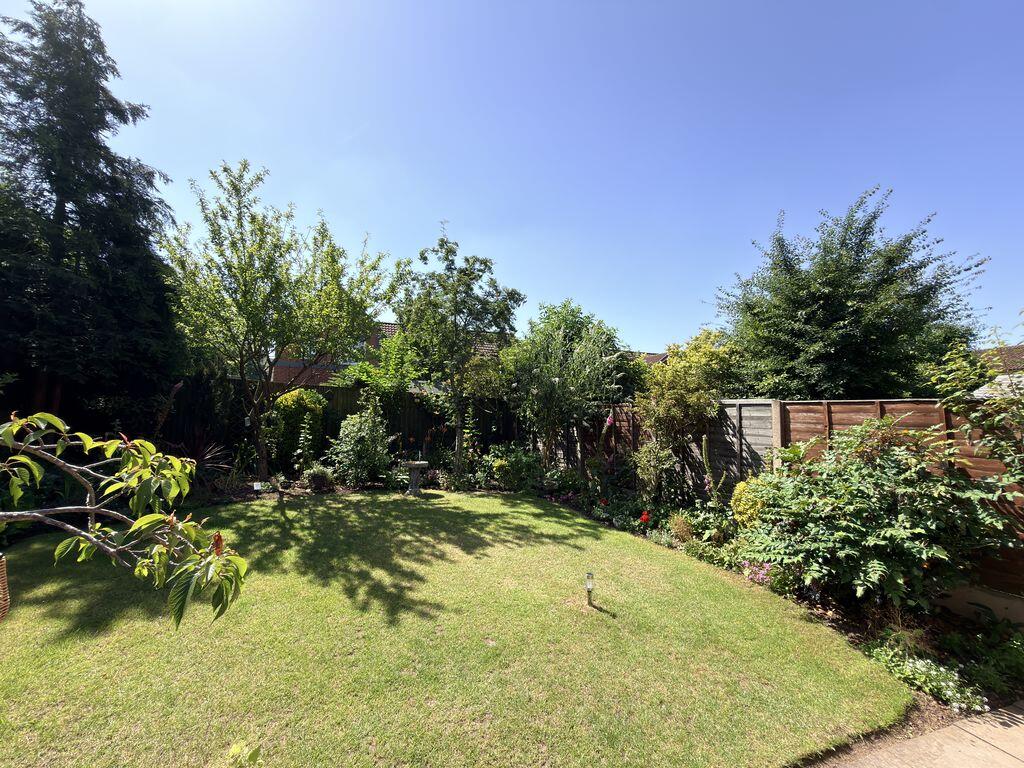 Eaton Wood, Birmingham photo 3