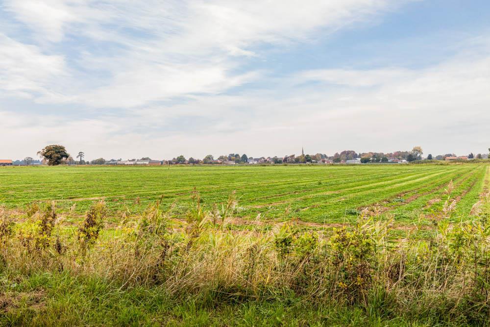 Herdgate Lane, Pinchbeck photo 4