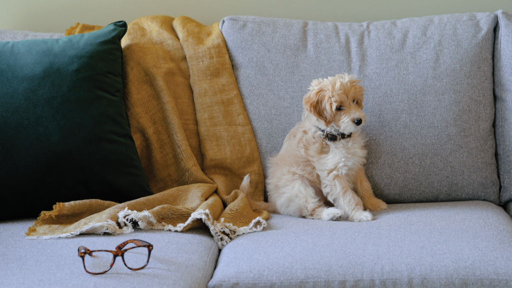 Additional image 14 of Lower Essex Street , Birmingham, B5