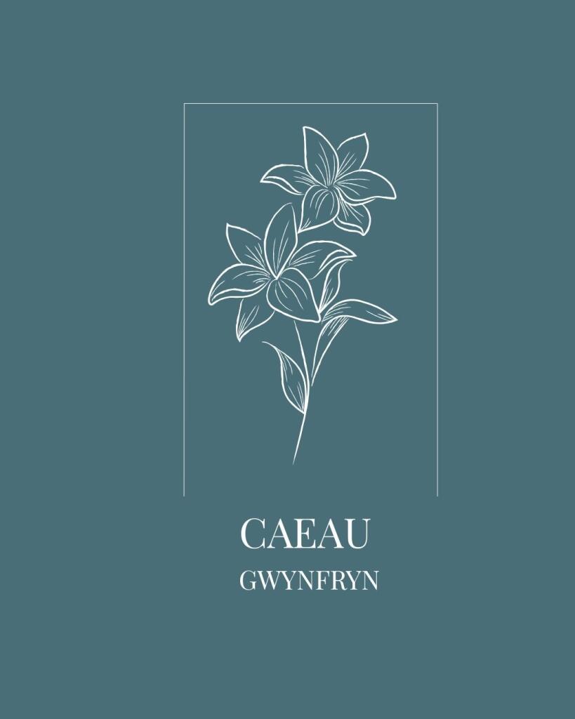 Caeau Gwynfryn , Llanarth, SA47 photo 2