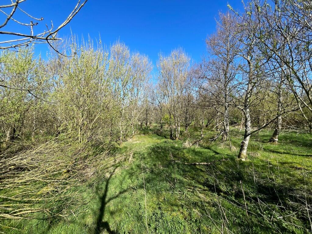 Additional image 24 of Woodland at Broadmuir, Hill of Fisherie, Turriff, AB53 5QL