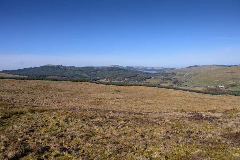 DarrachHill-24.jpg