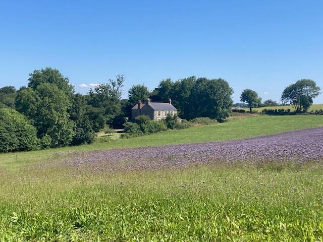 Main image of property: Nr Stithians, Truro