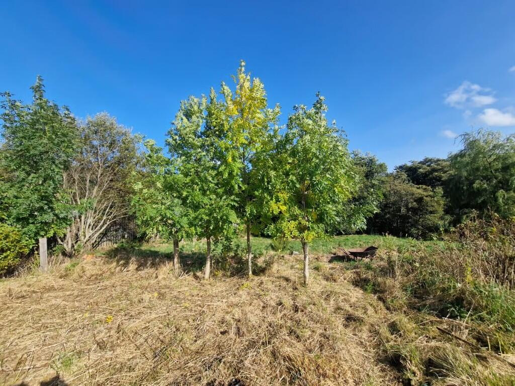 Additional image 3 of Building Plot At Hillside House, Rothes, Aberlour, Moray, AB38 7AQ