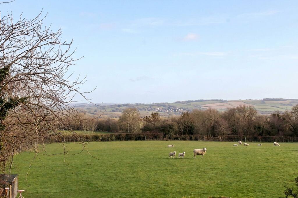 Appletree Road, Stanfree, S44 photo 4