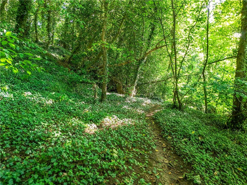 Woodland