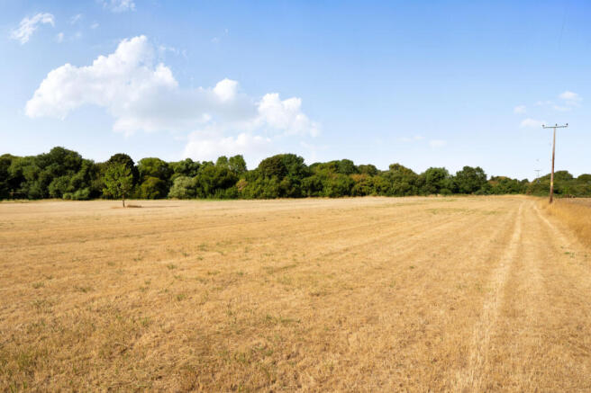 Field